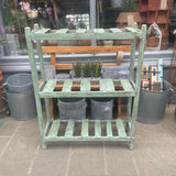 Vintage Green Painted Shelves