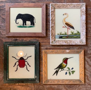 Vintage Glass Framed Animal Insect and Bird Paintings - Medium