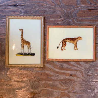 Vintage Glass Framed Animal Paintings - Large