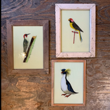 Vintage Glass Framed Bird Paintings - Large