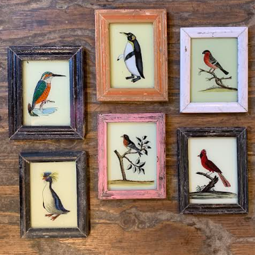 Vintage Glass Framed Bird Paintings - Extra Small