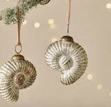 Sachin Shell Baubles