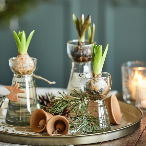 Conical Hyacinth Vase