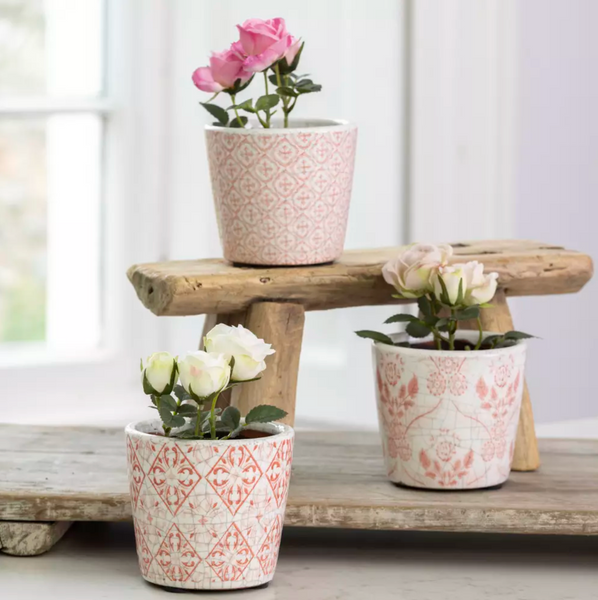 Mini Old Style Dutch Pots - Rose