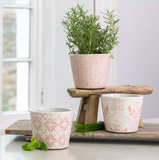 Old Style Dutch Pots - Rose