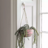 Seagrass and Cotton Hanging Basket Pink