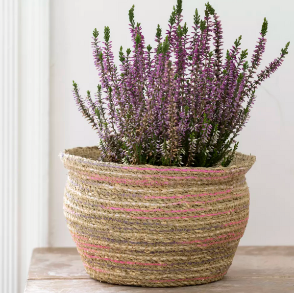 Seagrass and Cotton Planter Pink