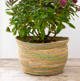 Seagrass and Cotton Planter Multicoloured