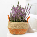 Seagrass Basket with Handles Orange