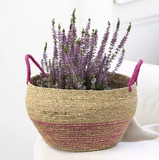 Seagrass Basket with Handles Pink