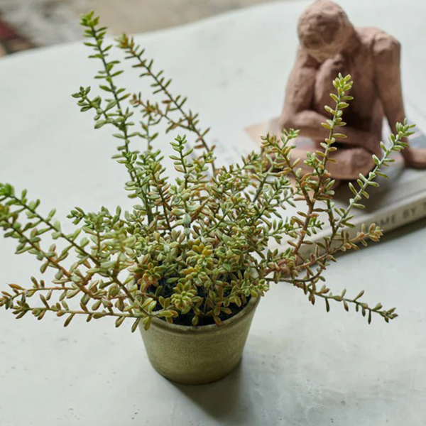 Abigail Ahern Artificial Sedum in Pot