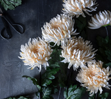 Abigail Ahern Artificial Chrysanthemum, Cream