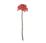 Abigail Ahern Artificial Sedum, Coral