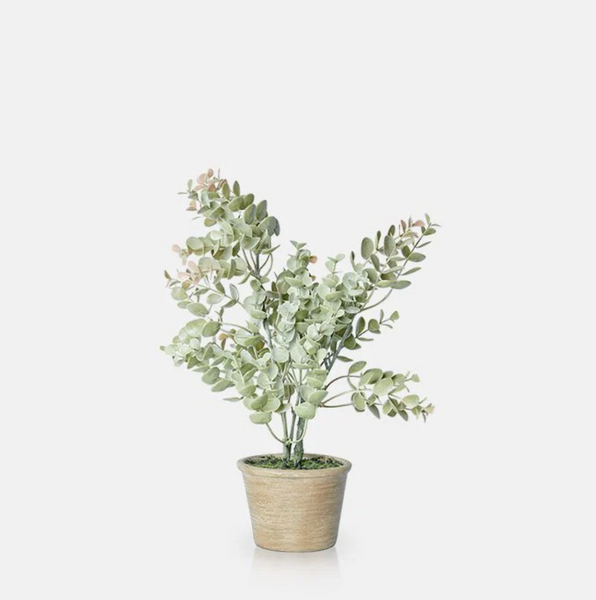 Abigail Ahern Artificial Potted Eucalyptus Bush