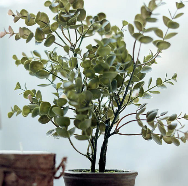 Abigail Ahern Artificial Potted Eucalyptus Bush