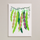 Risograph Print- Runner Bean