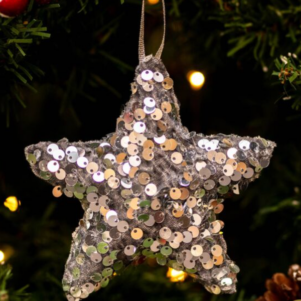 Silver Star Sequin Bauble