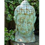 Buddha Head