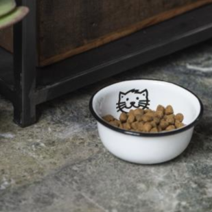 Enamel Cat Bowl