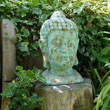 Buddha Head