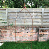 Rust Arch Trellis